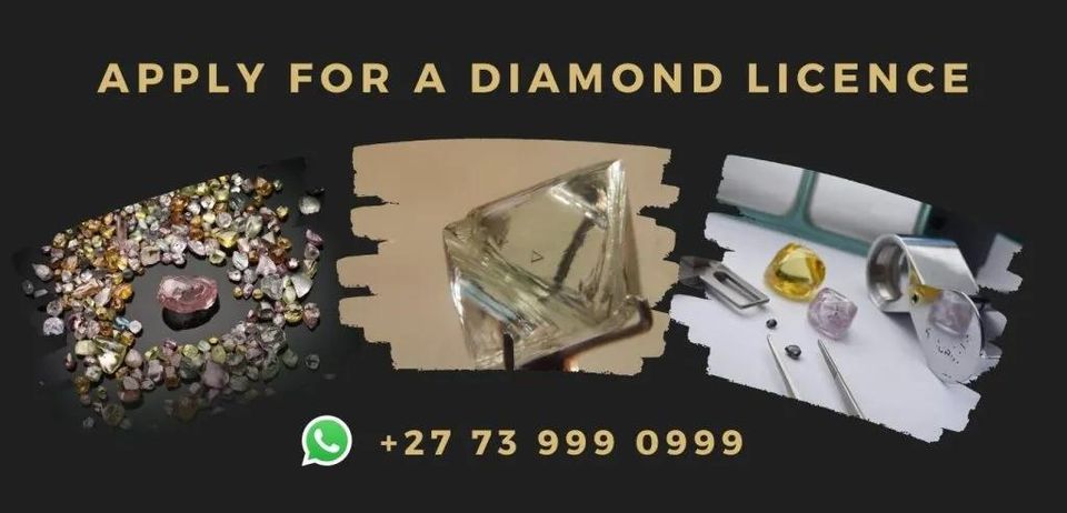 1 Only Professional course for Rough Diamonds in South Africa?